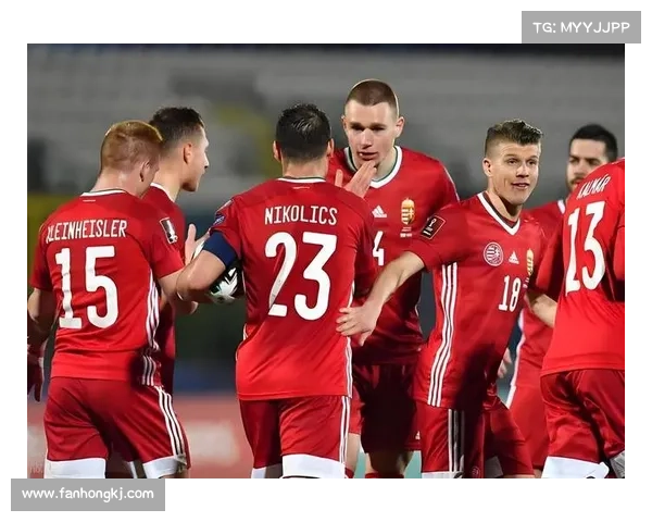 土耳其近期精彩赛事盘点，足球篮球等多项赛事不容错过